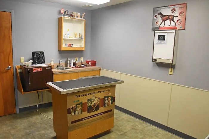 Ambassador Animal Hospital Picture 5