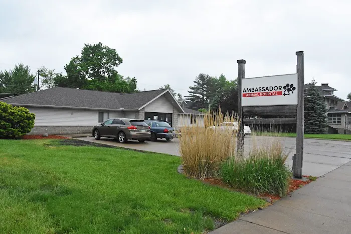 Ambassador Animal Hospital Picture 9