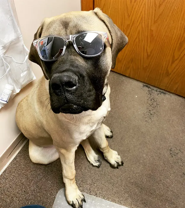 Camanche Veterinary Clinic Picture 4