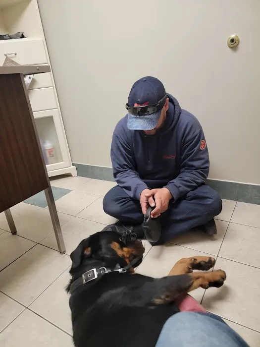 Camanche Veterinary Clinic Picture 8