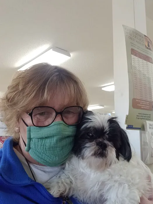 All Pets Mobile Clinic Picture 3