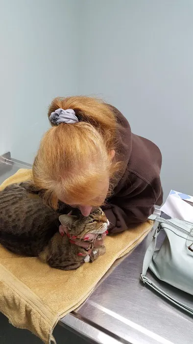 Clinton Veterinary Clinic Iowa: Drs. Eslick, Kemmerer, & Aman Picture 2
