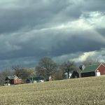 Miller Veterinary Services