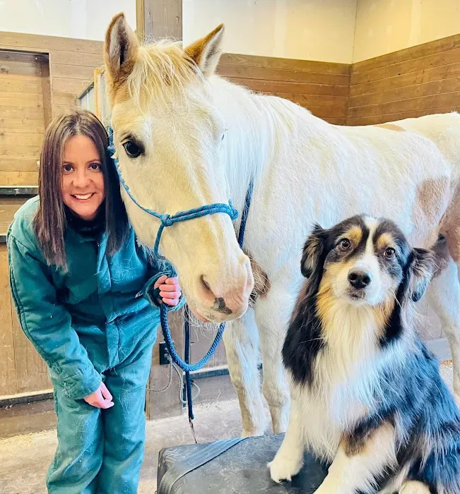 Miller Veterinary Services Picture 7