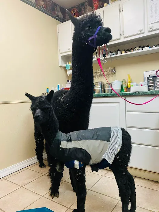 Miller Veterinary Services Picture 8