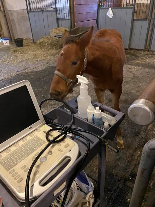 Miller Veterinary Services Picture 10