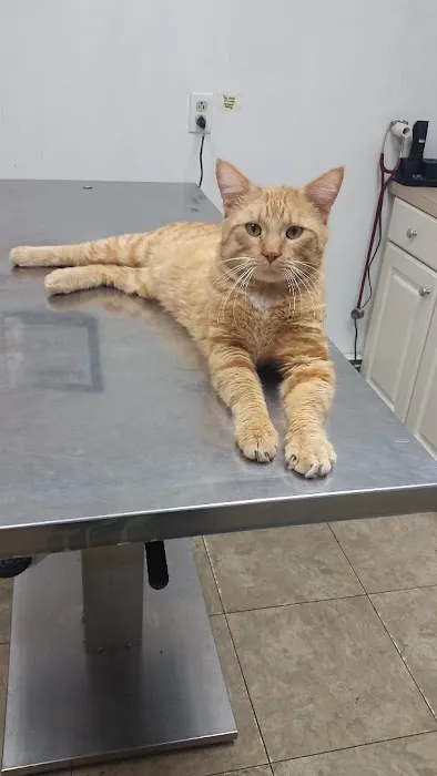 Wyoming Veterinary Services PLLC Picture 7