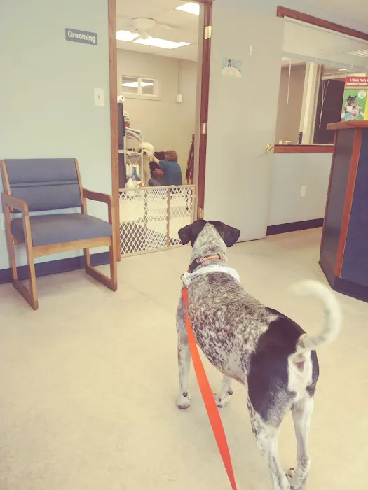 Sauk Trail Animal Hospital Picture 3