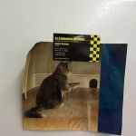 New Hope Veterinary Clinic