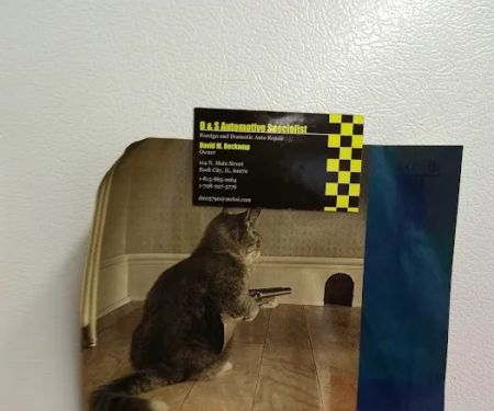 New Hope Veterinary Clinic