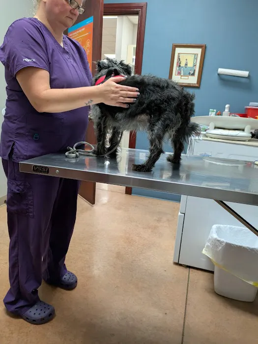 Orangeville Animal Health Service Picture 2