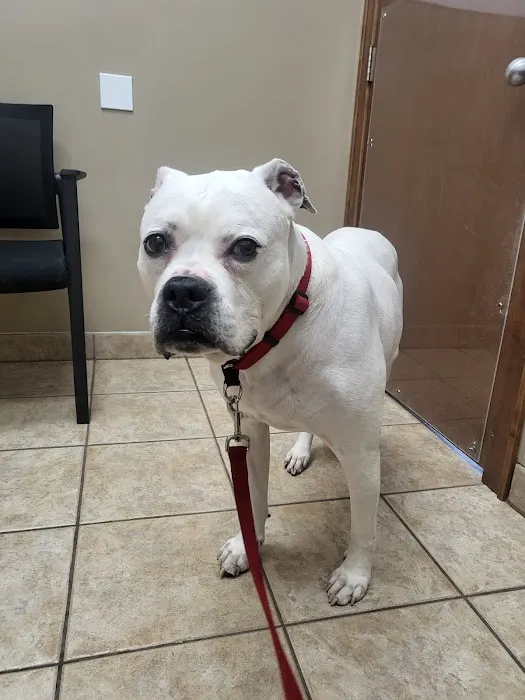 Lake Geneva Animal Hospital Picture 1