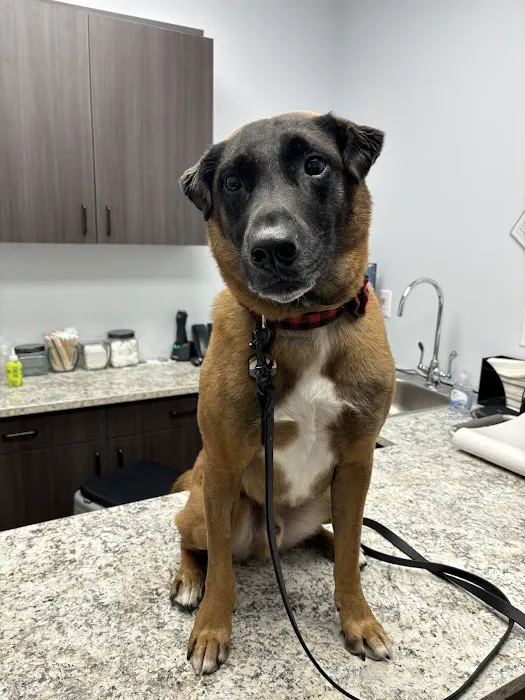 Lake Geneva Animal Hospital Picture 5