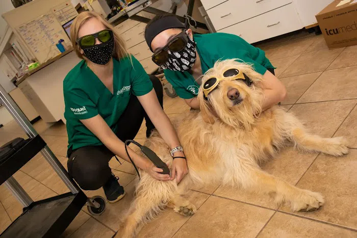 Lake Geneva Animal Hospital Picture 8