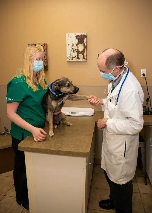 Lake Geneva Animal Hospital Picture 9