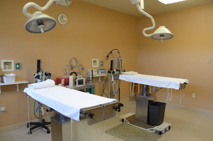 Animal Hospital of Union Grove Picture 6