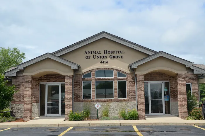 Animal Hospital of Union Grove Picture 7