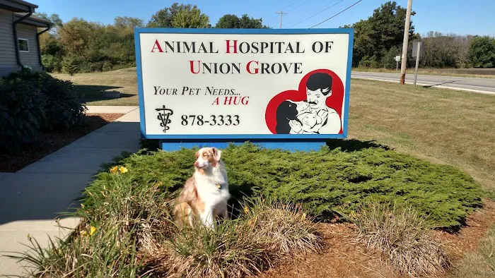 Animal Hospital of Union Grove Picture 10