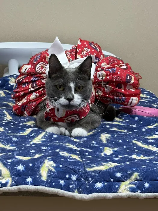 Willow Springs Veterinary Clinic Picture 6