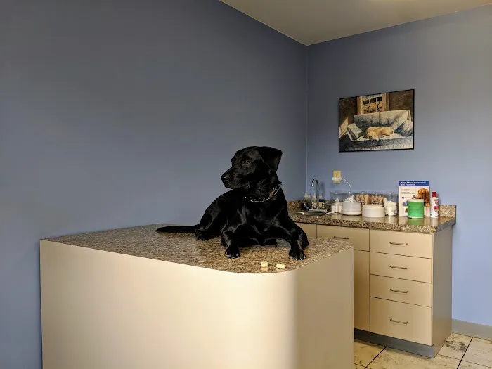 Willow Springs Veterinary Clinic Picture 7