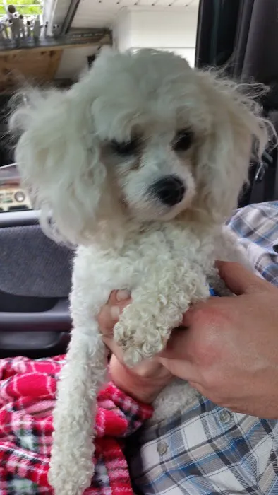 Delavan Animal Clinic Inc Picture 4