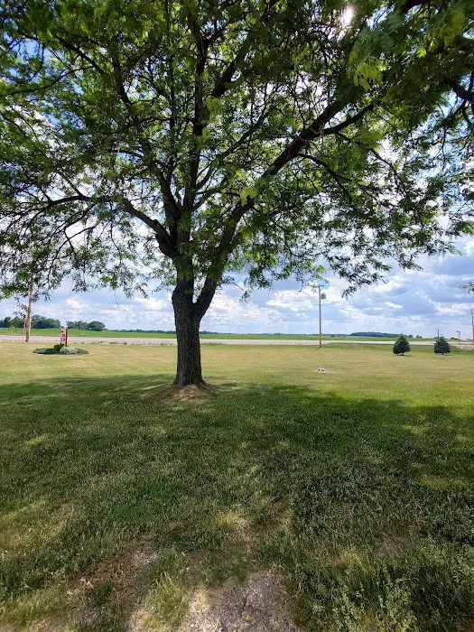 Delavan Animal Clinic Inc Picture 7