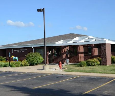 Elkhorn Veterinary Clinic
