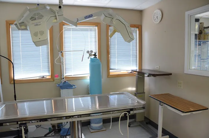Elkhorn Veterinary Clinic Picture 4