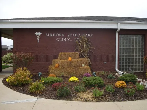 Elkhorn Veterinary Clinic Picture 7