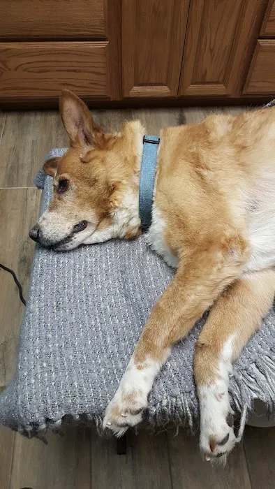 Clinton Veterinary Clinic Picture 3