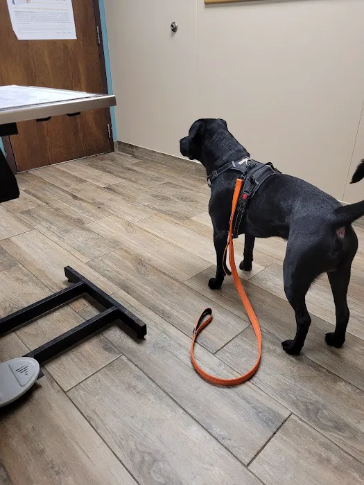 Clinton Veterinary Clinic Picture 2