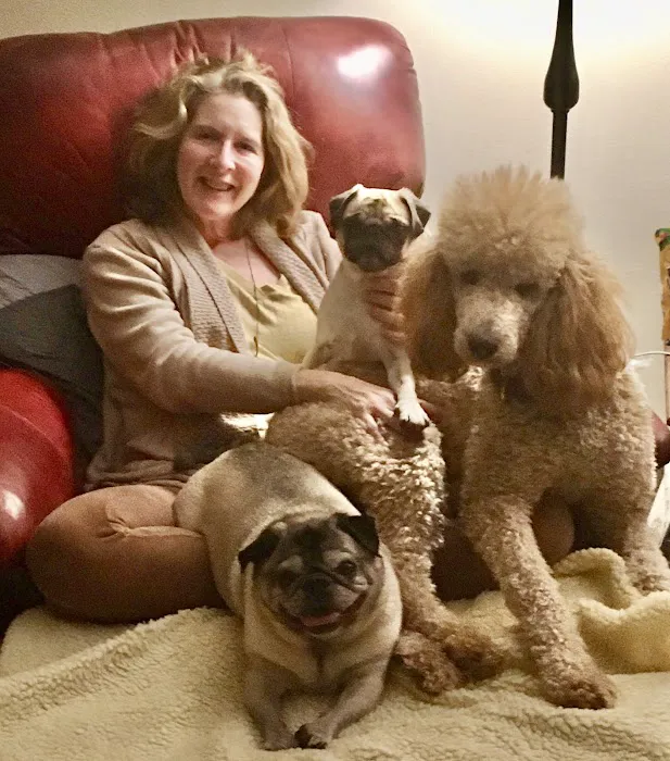 Clinton Veterinary Clinic Picture 4
