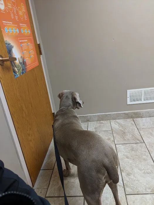 Animal Medical Clinic--North Picture 10