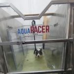 EQUINE & CANINE AQUATIC THERAPY