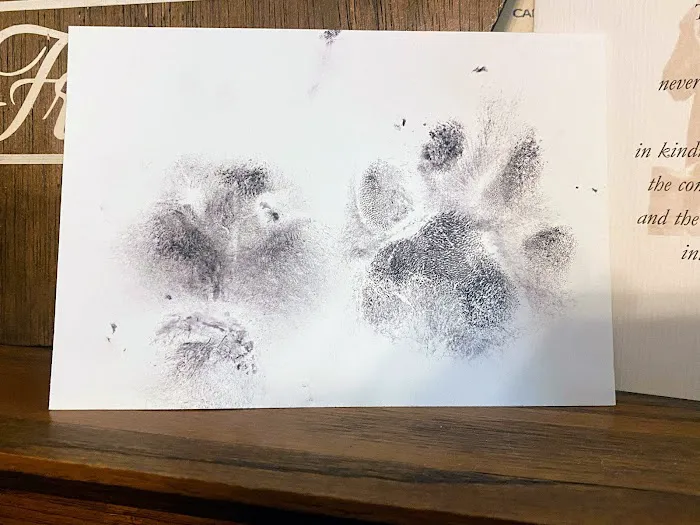 Roscoe Veterinary Clinic Picture 5