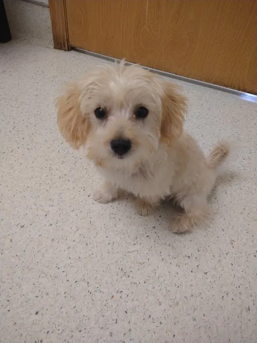 Roscoe Veterinary Clinic Picture 2