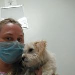 Roscoe Veterinary Clinic