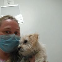 Roscoe Veterinary Clinic ico