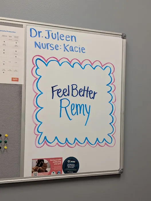 Companion Animal Hospital Kenosha Picture 2