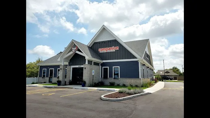 Companion Animal Hospital Kenosha Picture 4