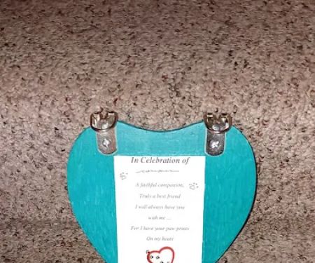 Racine Veterinary Hospital Inc