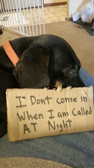 Racine Veterinary Hospital Inc Picture 7