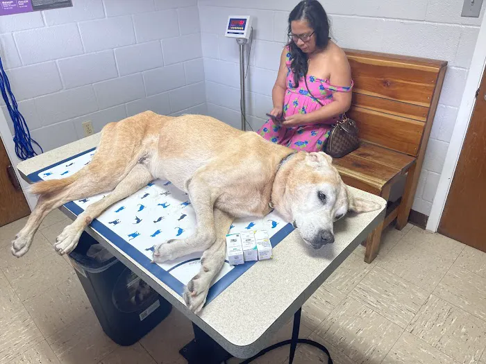 Arena Veterinary Clinic Picture 3