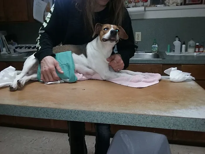 Arena Veterinary Clinic Picture 1