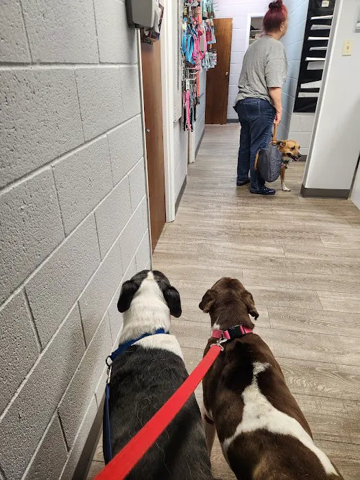 Arena Veterinary Clinic Picture 10