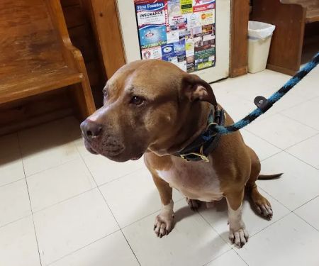 Coldspring Veterinary Clinic