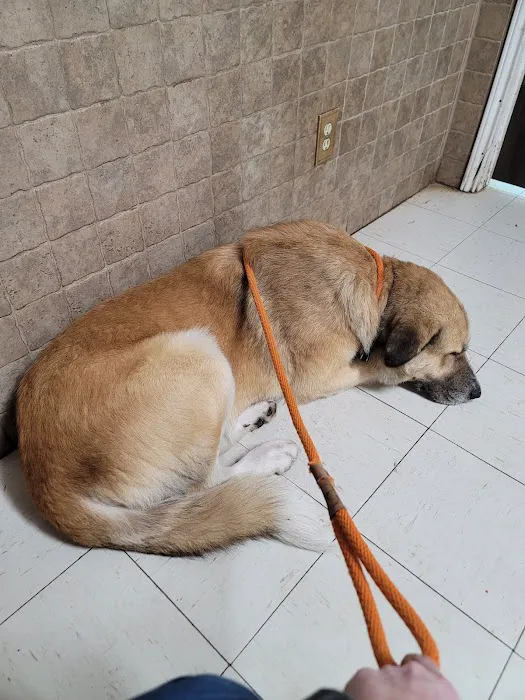 Coldspring Veterinary Clinic Picture 3