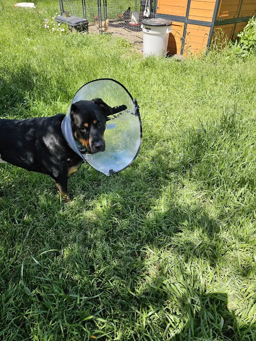 Fayette County Vet Clinic Inc Picture 10