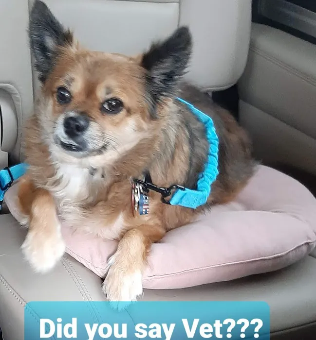 Welch Veterinary Hospital Picture 6