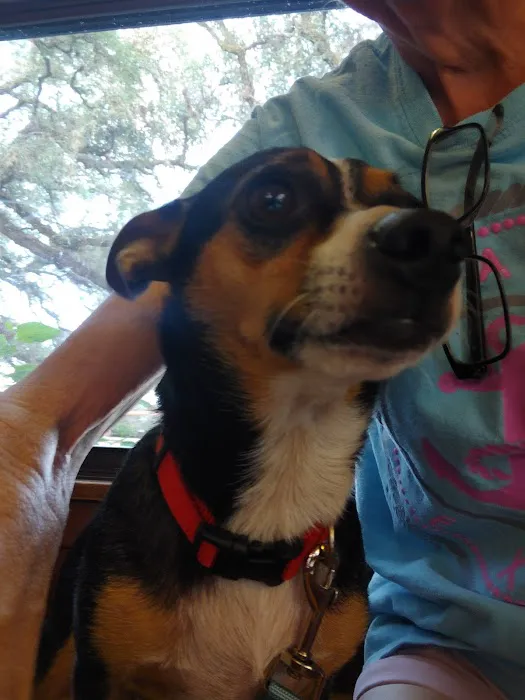 Welch Veterinary Hospital Picture 3
